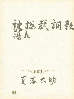 被总裁调教成浪荡h