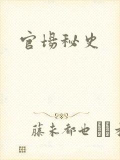 官场秘史