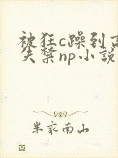 被狂c躁到高潮失禁np小说推荐