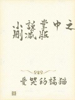 小说掌中之物未删减版封面