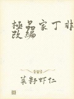 极品家丁非绿版改编