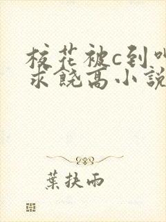 校花被c到呻吟求饶高小说