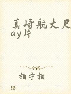 真崎航大尺度gay片