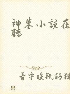神墓小说在线收听
