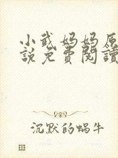 小武妈妈原著小说免费阅读
