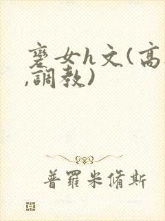 变女h文(高h,调教)