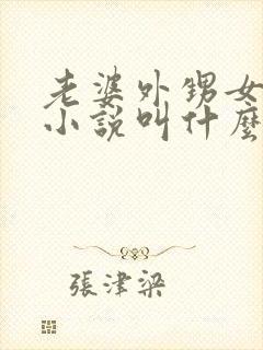 老婆外甥女张婧小说叫什么名字啊