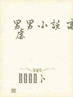 男男小说 高h 虐