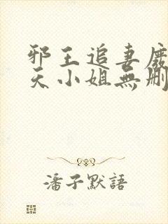 邪王追妻废材逆天小姐无删减