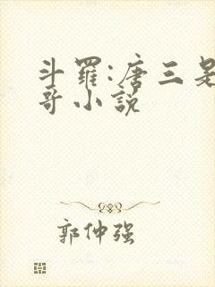 斗罗:唐三是我哥小说
