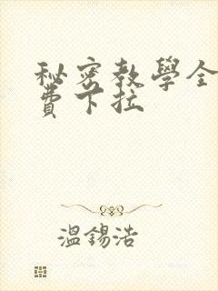 秘密教学全集免费下拉封面