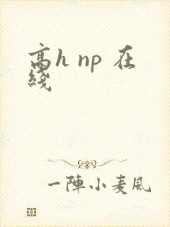 高h np 在线