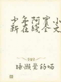 少年阿宾小说最新在线全文阅读