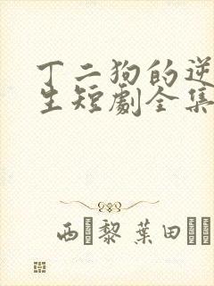 丁二狗的逆袭人生短剧全集免费观看