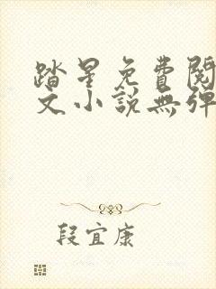 踏星免费阅读全文小说无弹窗