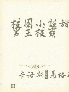校园小说甜宠文男主校霸