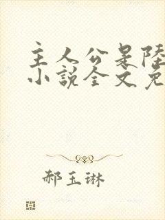 主人公是陆鸣的小说全文免费阅读