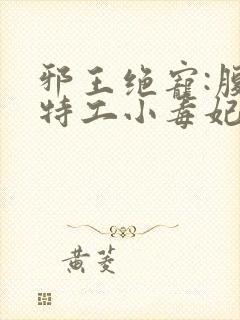 邪王绝宠:腹黑特工小毒妃