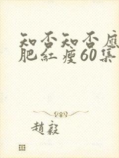 知否知否应是绿肥红瘦60集