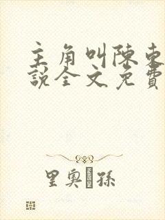 主角叫陈东的小说全文免费阅读封面