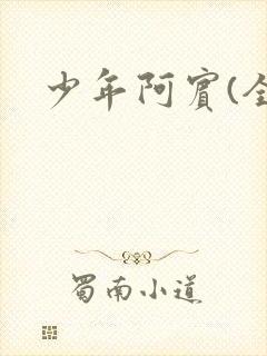 少年阿宾(全)封面