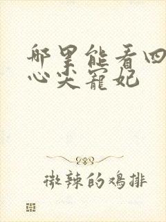哪里能看四爷的心尖宠妃