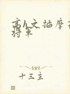 高h文插摩花心将军