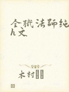 全职法师纯肉高h文