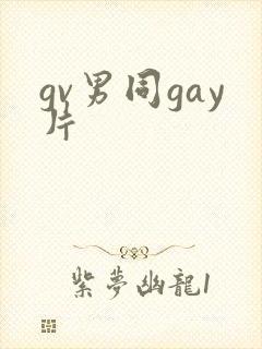 gv男同gay片
