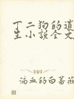 丁二狗的逍遥人生小说全文无删减下载封面