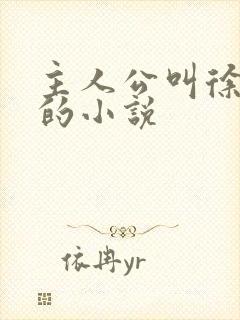 主人公叫徐什么的小说