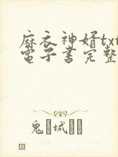 麻衣神婿txt电子书完整版下载封面