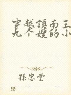 穿越镇南王世子九个嫂的小说