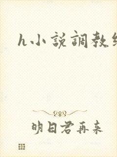 h小说调教继女