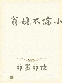 翁媳不伦小说封面