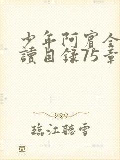 少年阿宾全文阅读目录75章笔趣阁