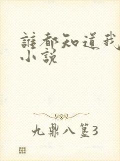 谁都知道我爱你小说