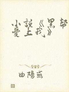 小说《黑帮少爷爱上我》封面
