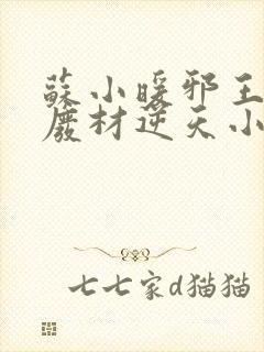 苏小暖邪王追妻废材逆天小姐