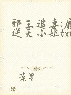 邪王追妻:废材逆天小姐txt