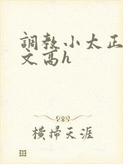 调教小太正肉车文高h