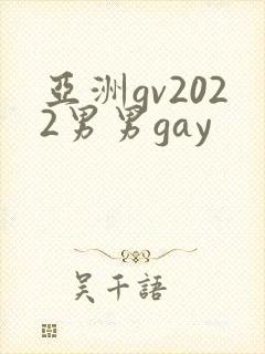亚洲gv2022男男gay