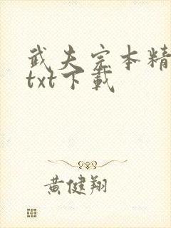 武夫完本精校版txt下载