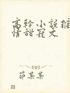 高干小说推荐言情甜宠文