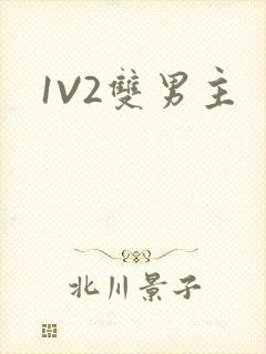 1V2双男主
