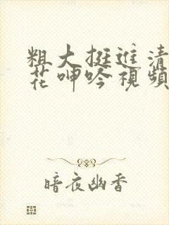 粗大挺进清纯校花呻吟视频