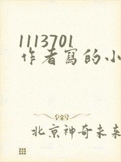 1113701作者写的小说