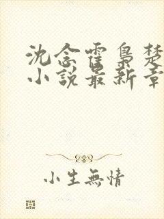 沈念霍枭楚莹莹小说最新章节更新免费阅读封面