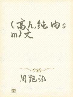 (高h,纯肉sm)文封面
