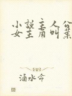 小说主人公林凡女主角叫叶惜
